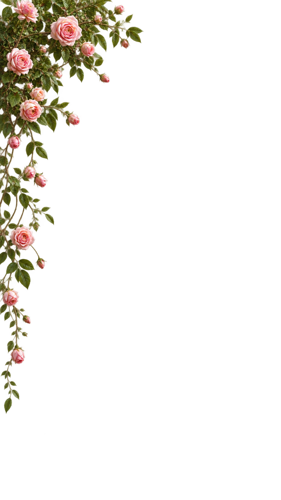Top Flowers Left